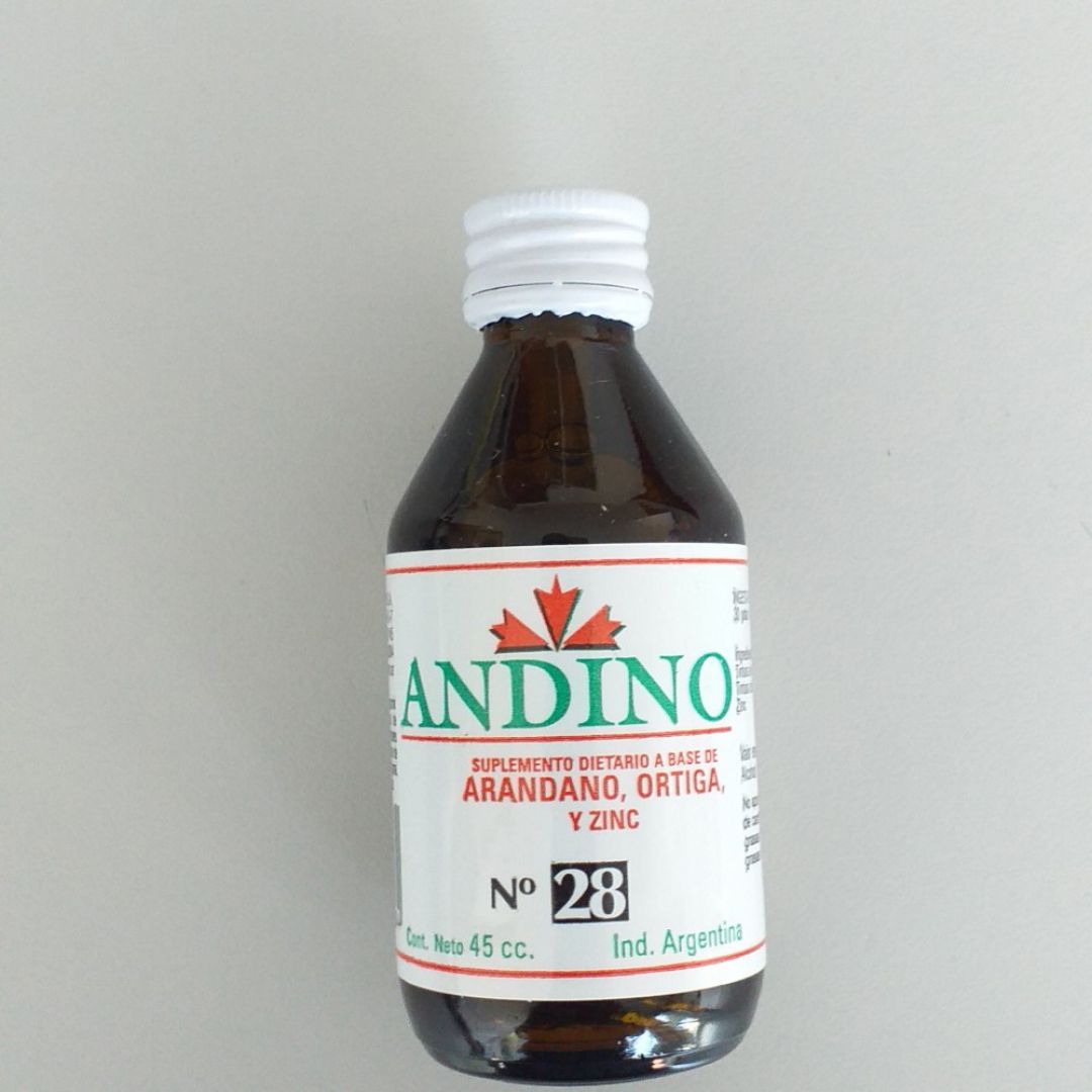 andino-n-28-cistitis-2000001003942