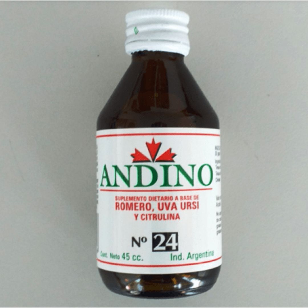 andino-n-24-acido-urico-7798056150246