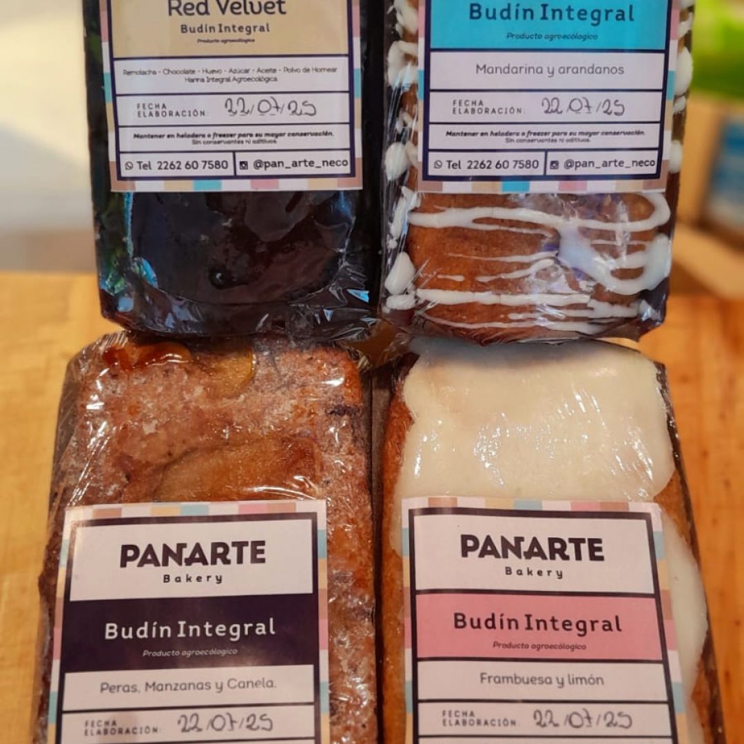 panarte-budin-integral-zanahoria-y-nuez-280-gr-2000001004346